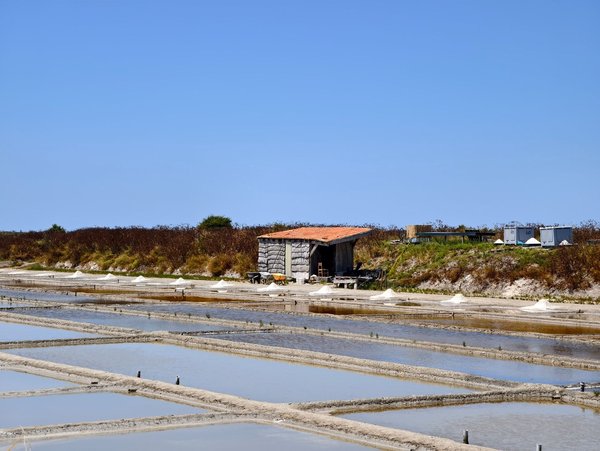 Comment bien choisir son camping à Concarneau pour des vacances réussies ?